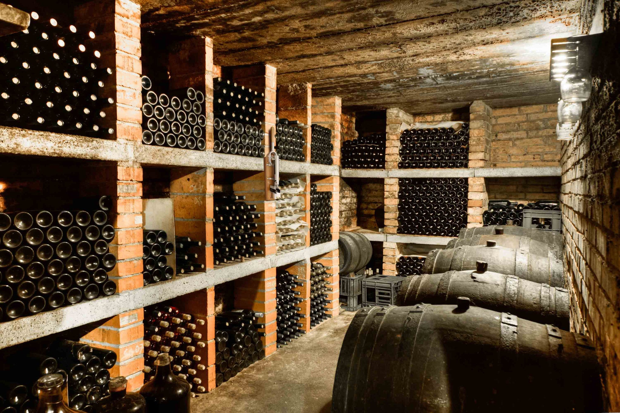 BOJ Professional Wine Opener Matte Chrome SapeleBacked Wall Mounted Corkscrew 09941 wineopeners.shop